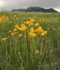 September 2022 Newsletter