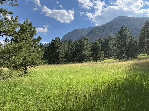 Fall 2023 Newsletter