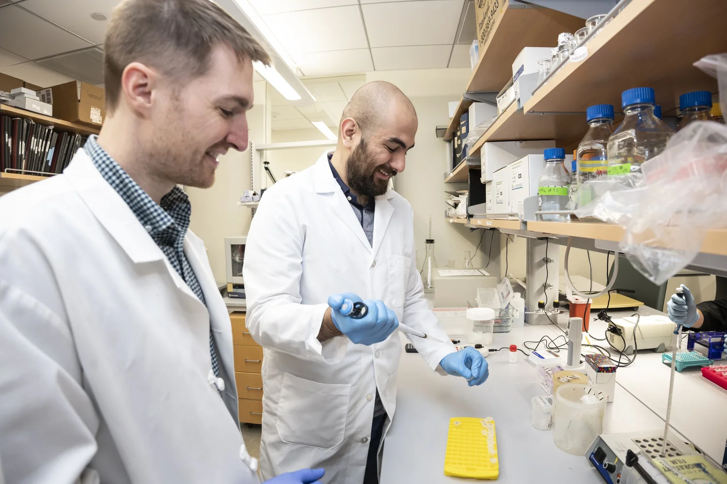 KAUFMAN LAB