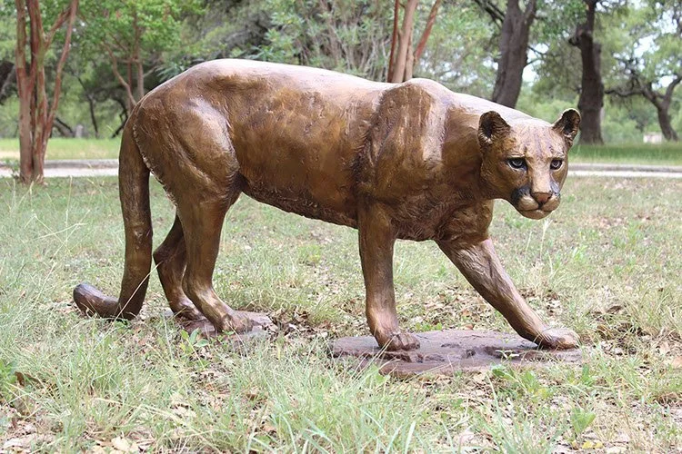 Cougar