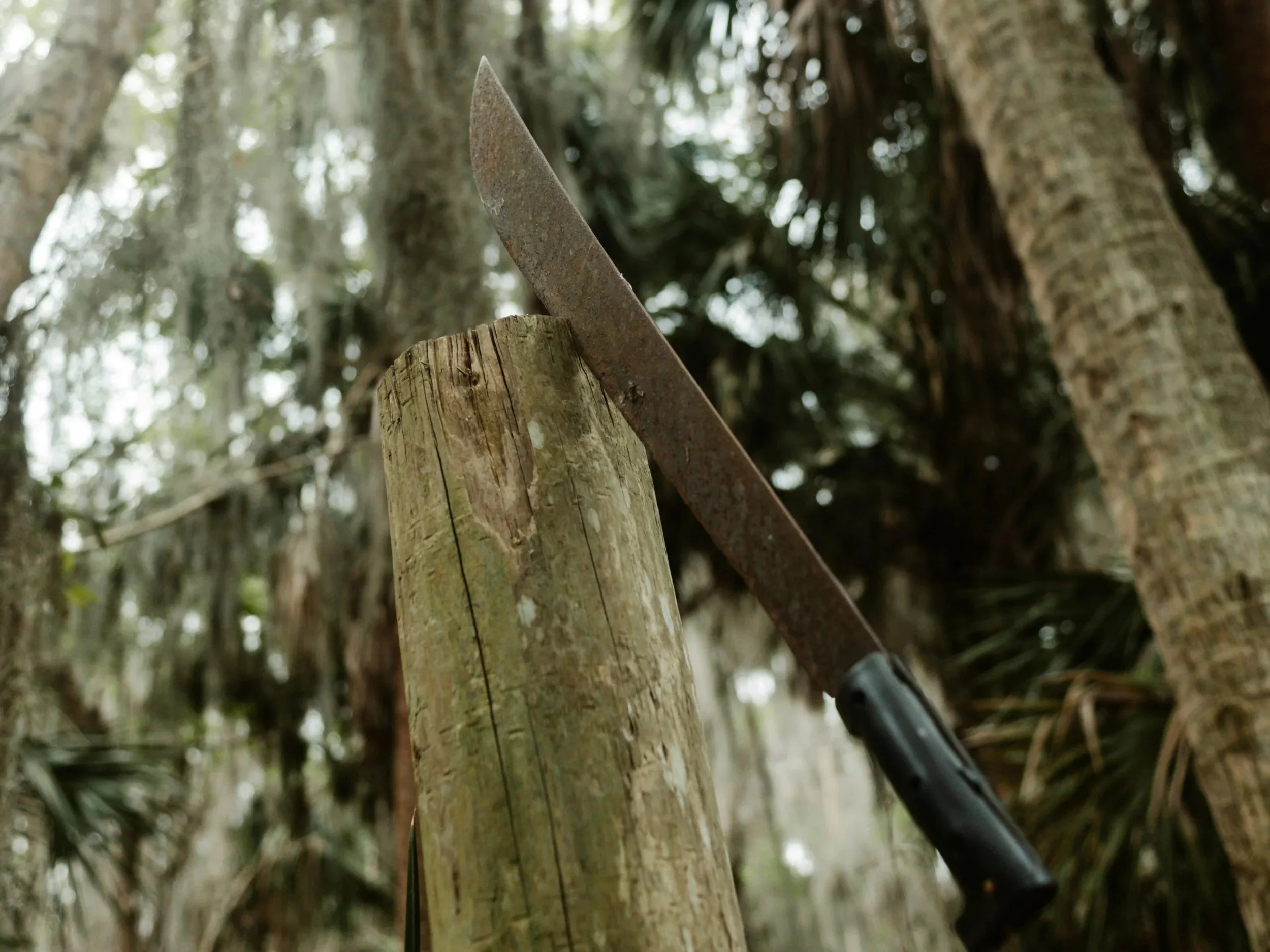 El Machete de la Conciencia: ¿Eso Lo Piensas Tú o Te Hicieron Pensarlo?