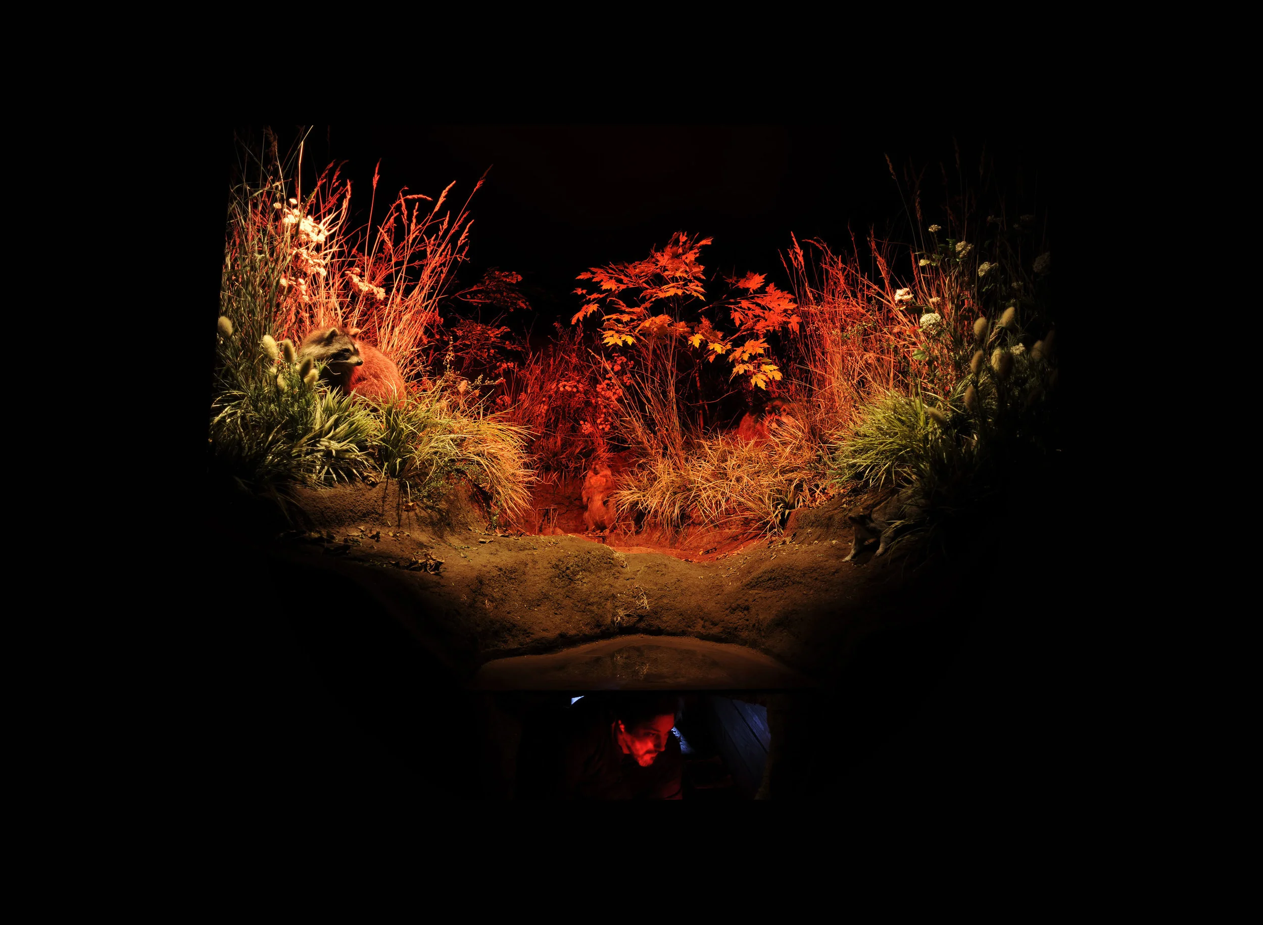 Pat in the Patfarm 2.JPG