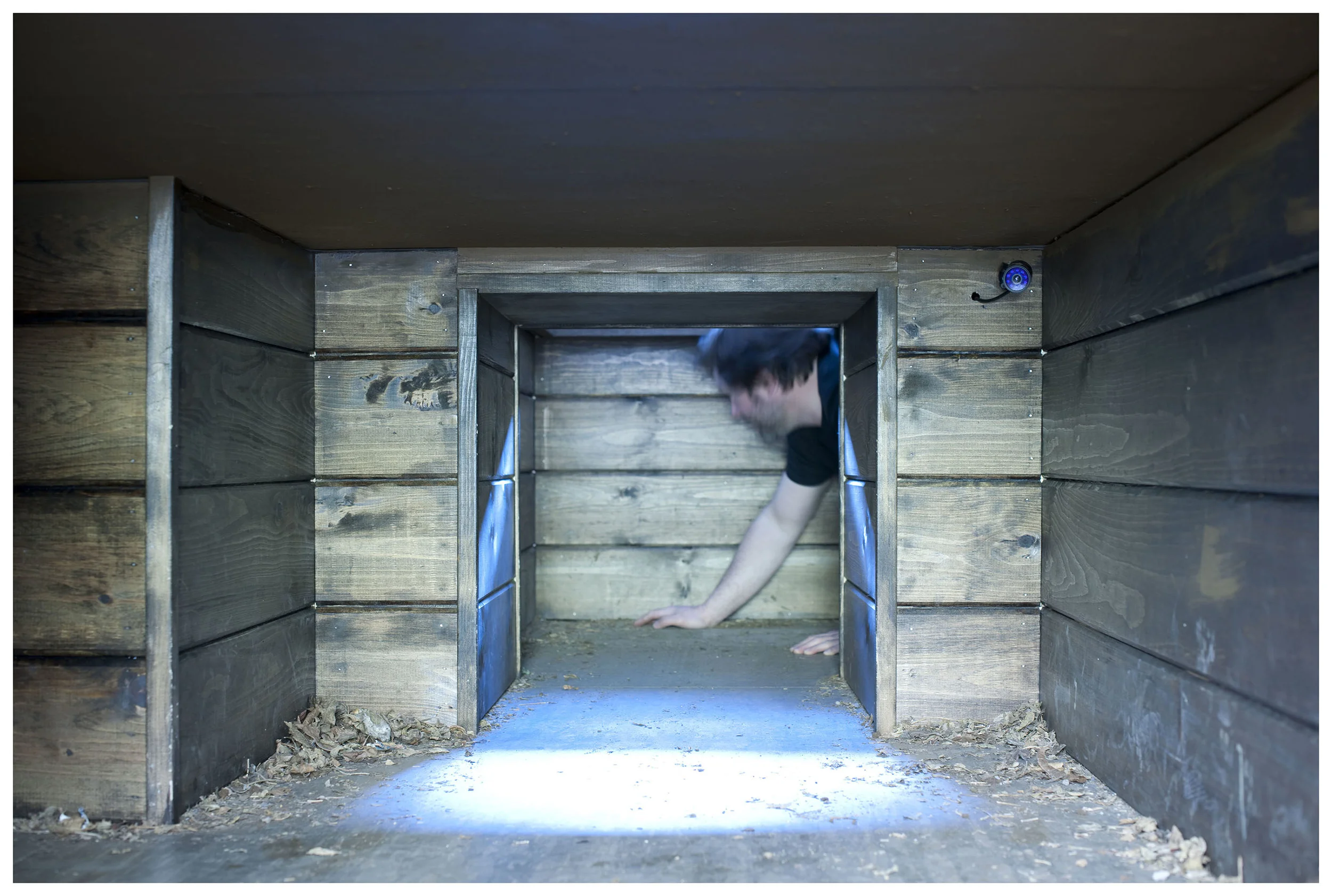 Pat's head in the Patfarm.JPG