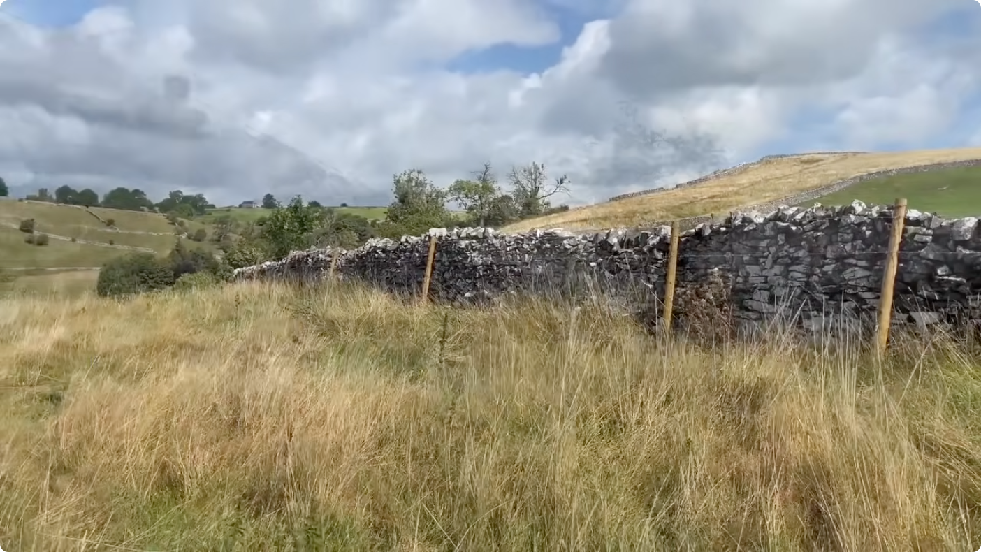 The real landscape — a stone wall, hills, and grass moving in the wind