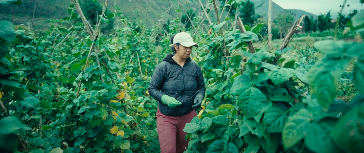 HOW DATA  IS HELPING ECUADOR
