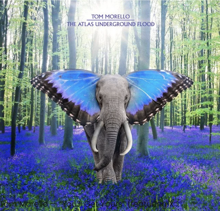 Screenshot 2026-02-08 at 9.04.33 PM.png