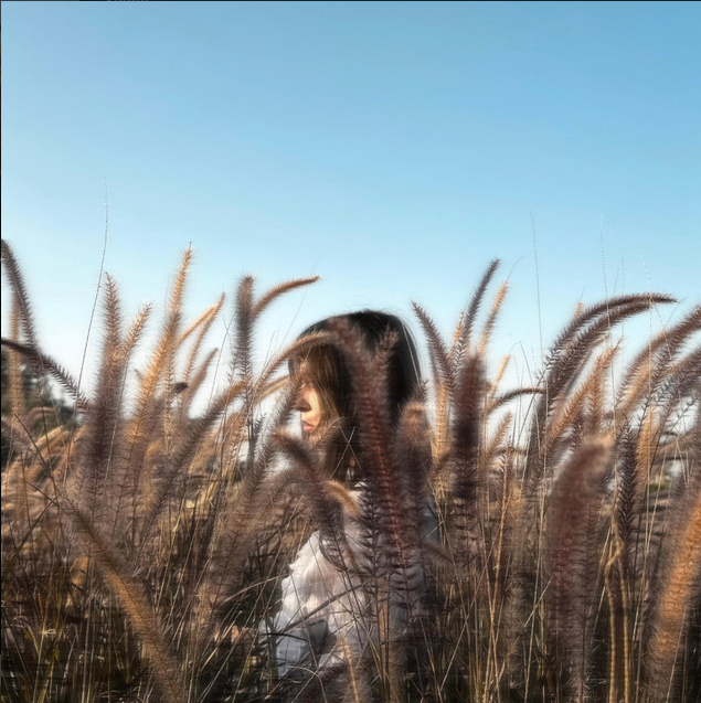 Screenshot 2026-02-19 at 10.12.06 AM.png