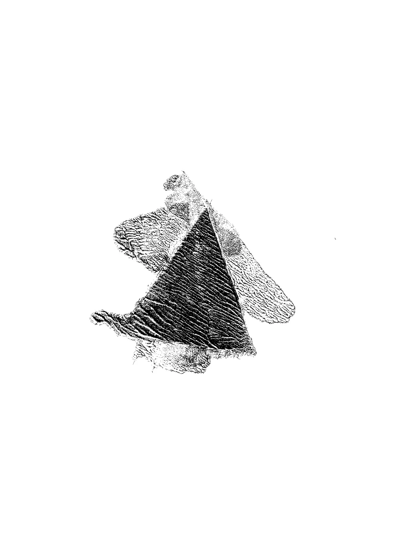 Scan+7.jpg