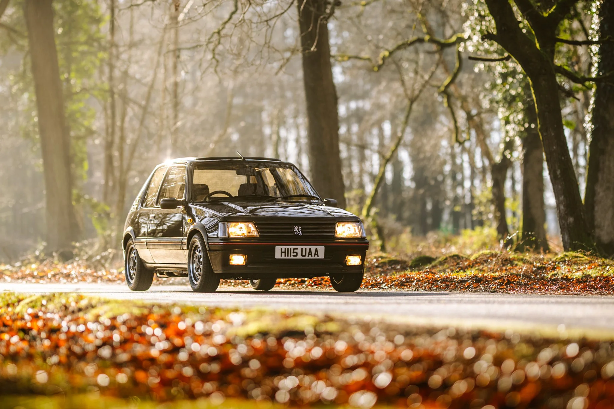 Rich's Peugeot 205 GTI
