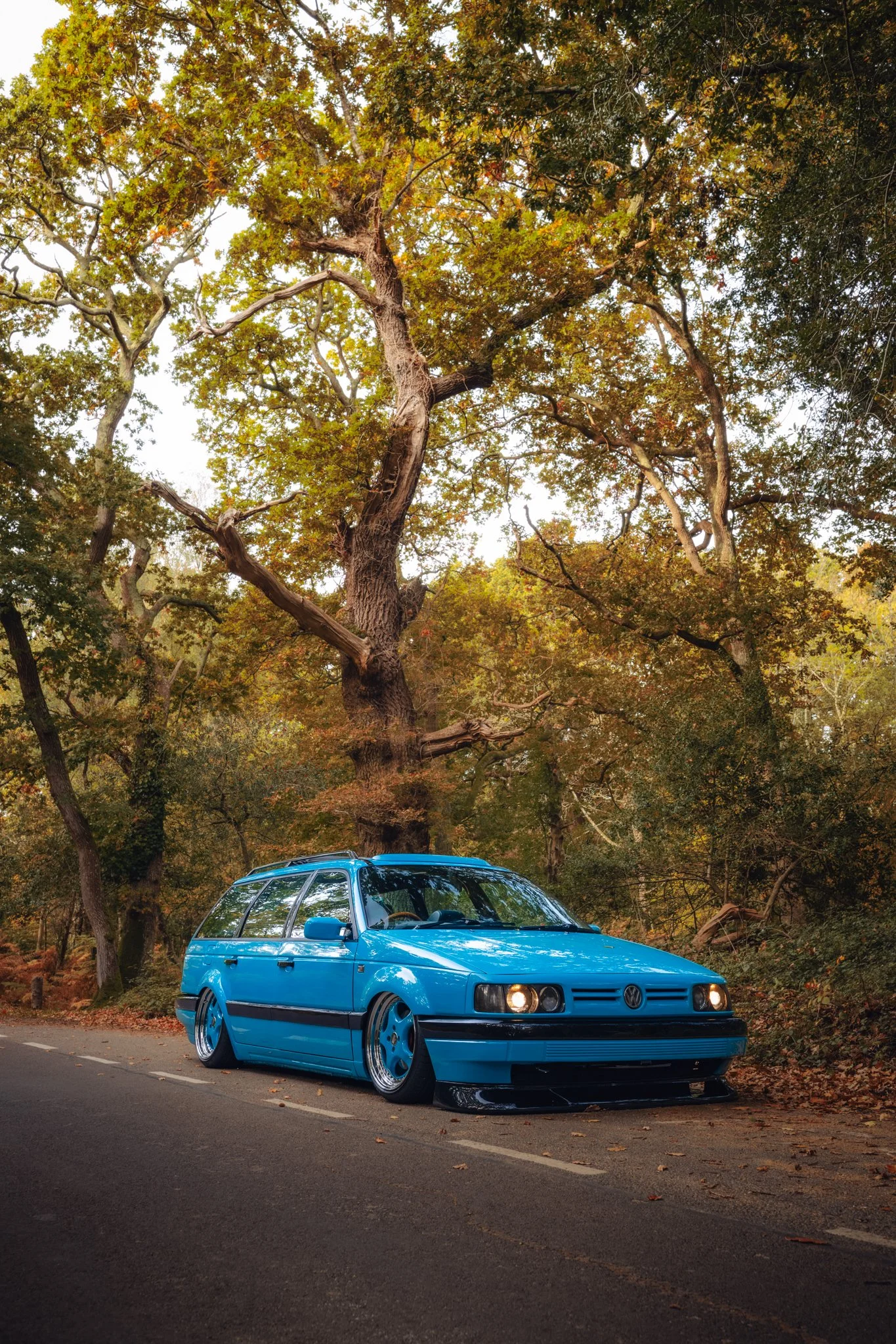 275A9429.jpg