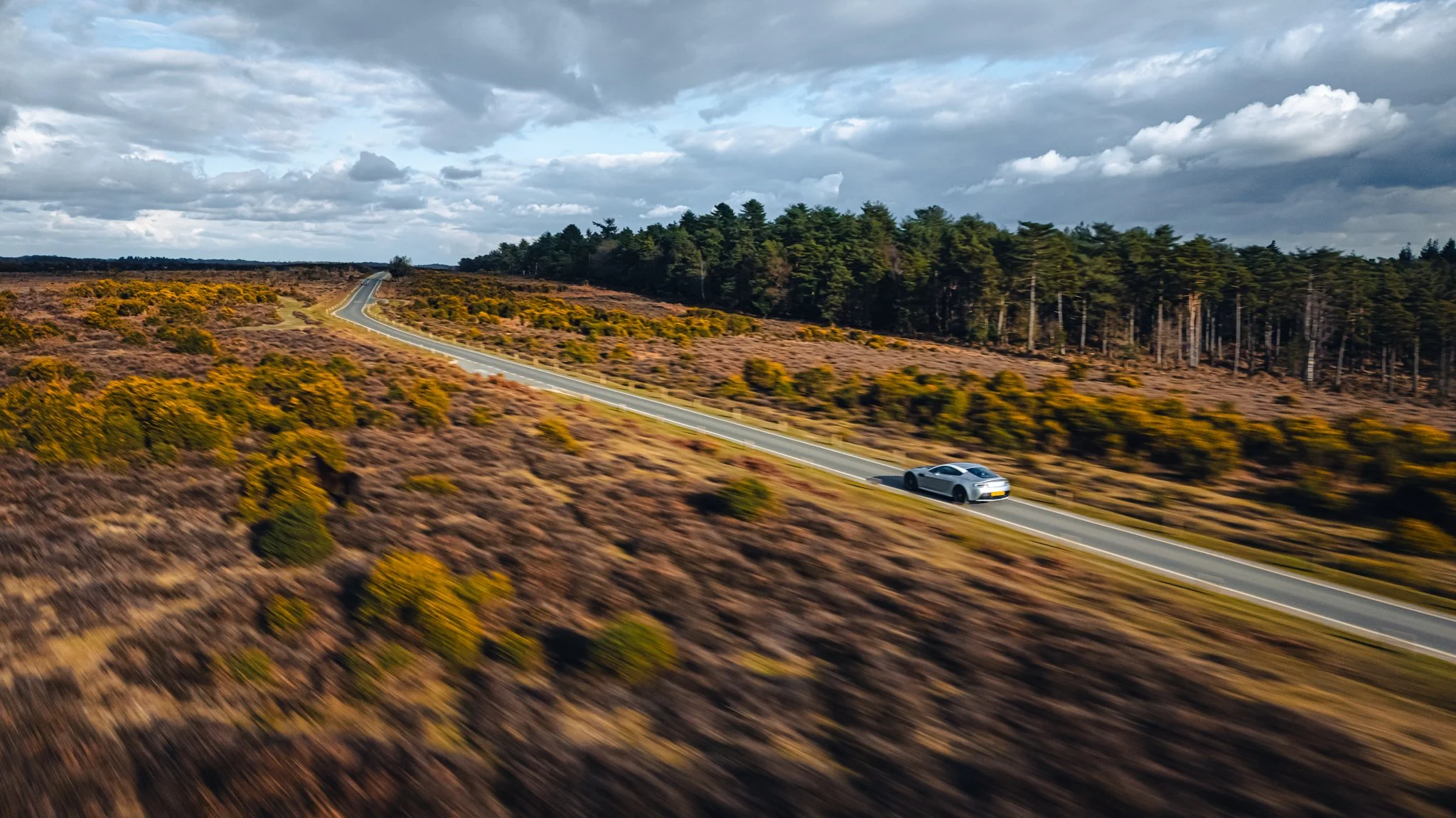 DJI_20250313160156_0377_D.jpg