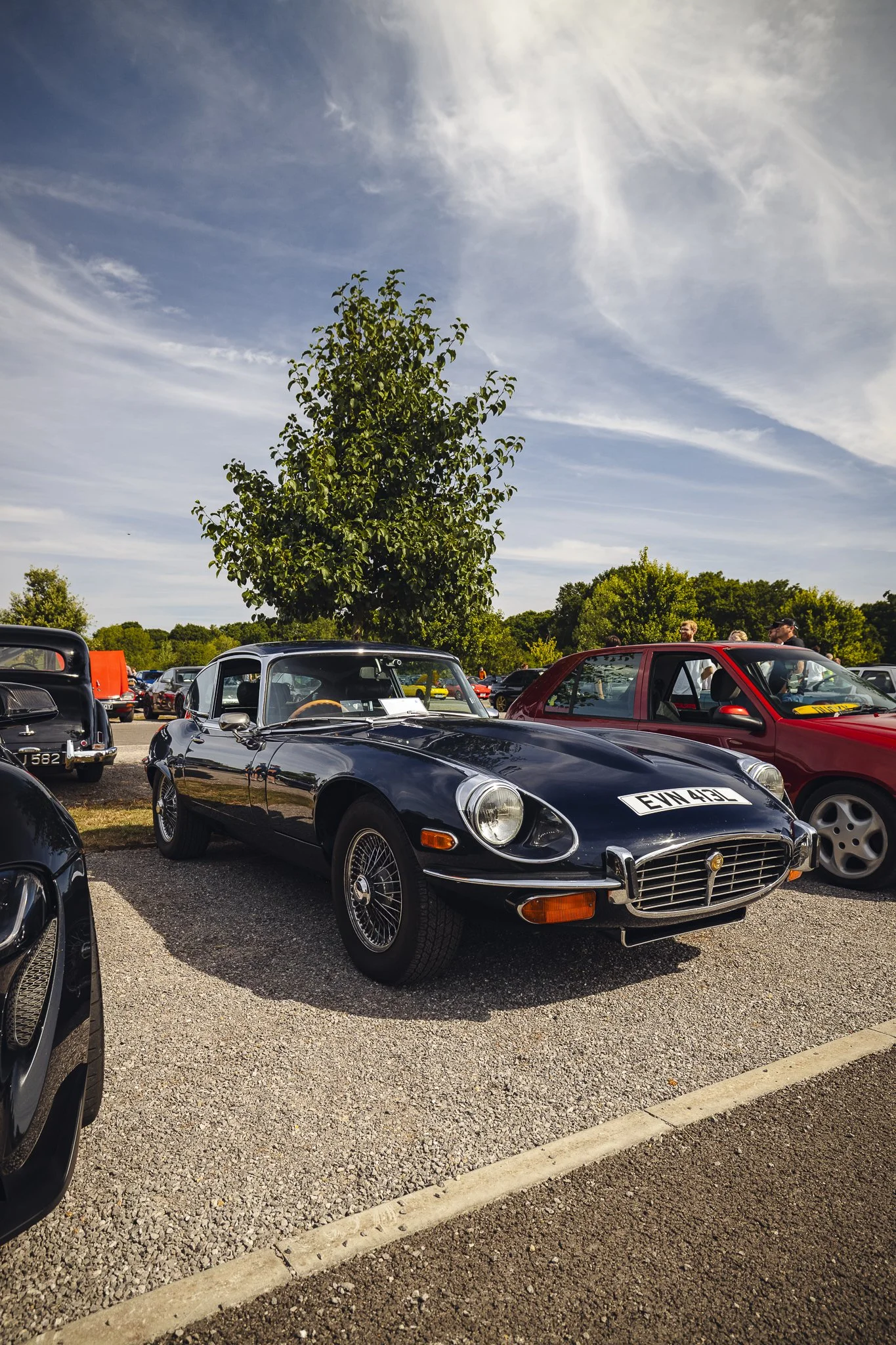275A4120.jpg