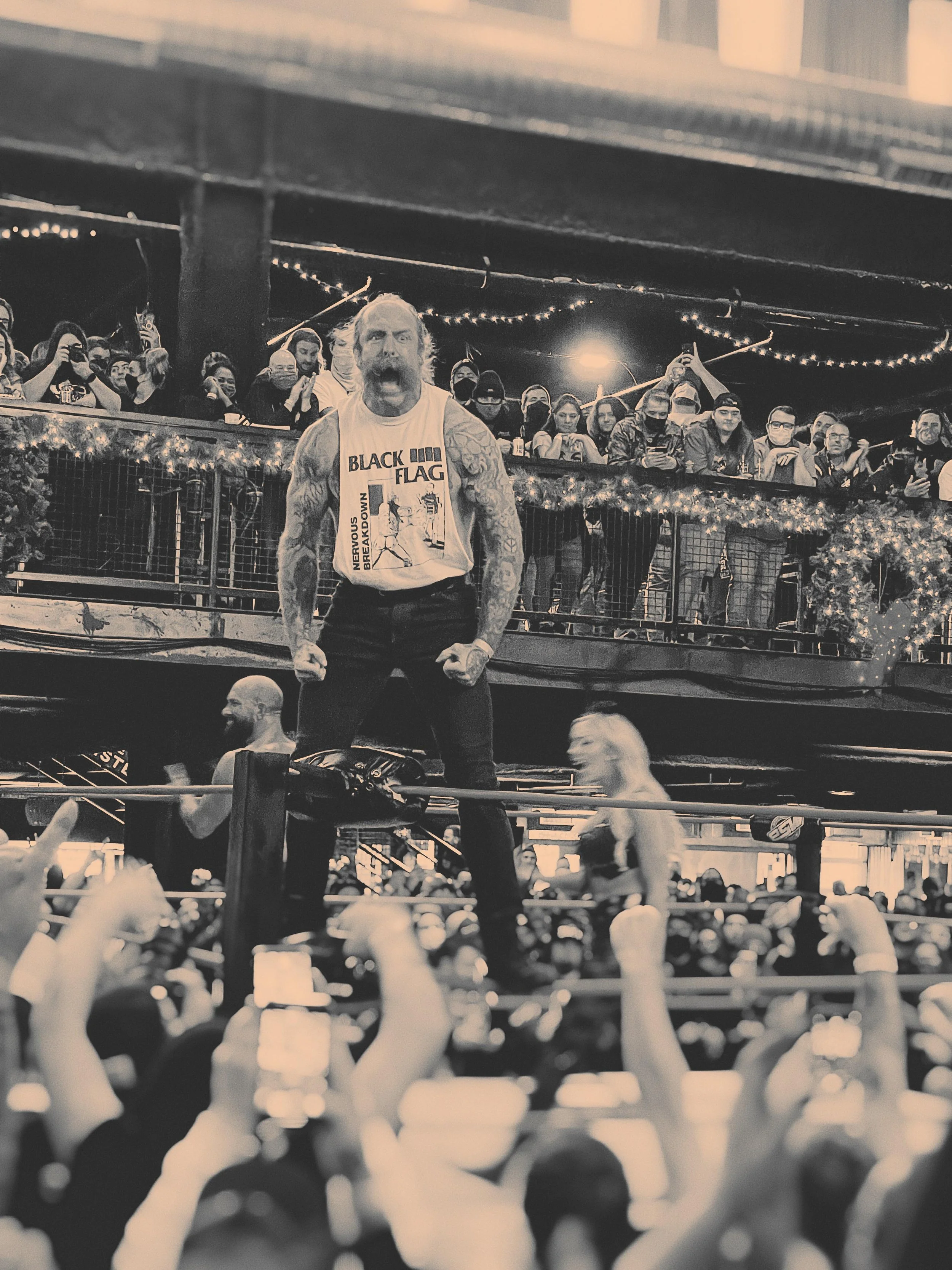 The Extraordinary Life of Andy Williams: The Very Best of an Rock Star and Wrestlerwo