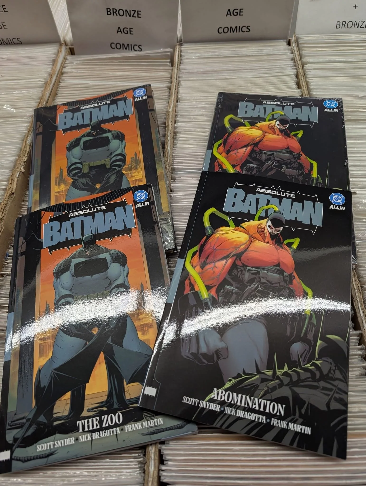 abs bat.JPG