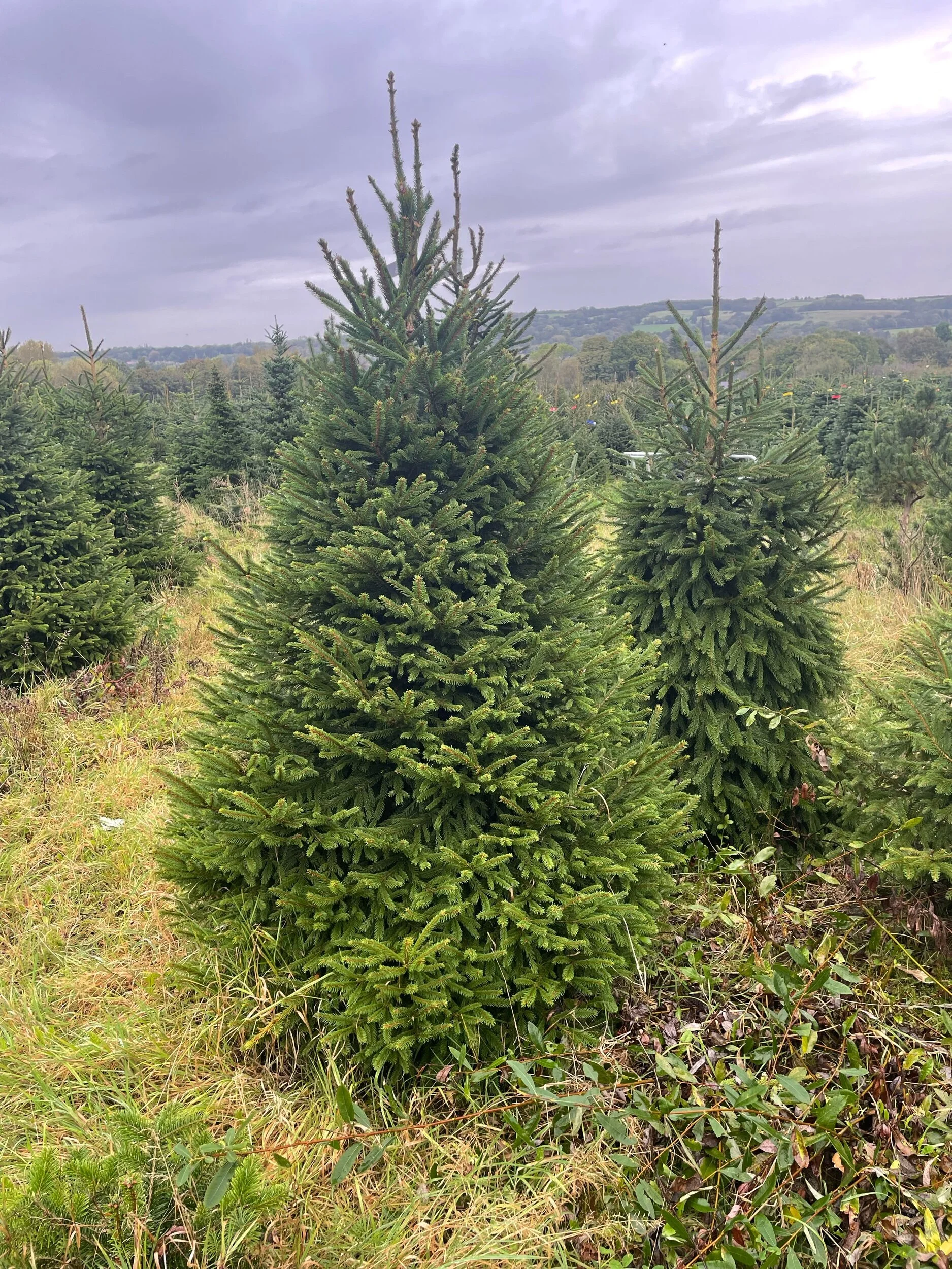 46834937-9243-4D09-A3DA-CB27CD55A8E5