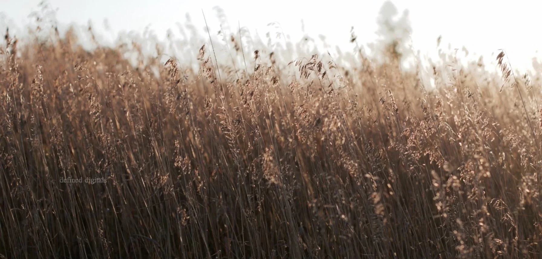 Screen Shot 2021-10-21 at 3.33.18 PM.jpeg