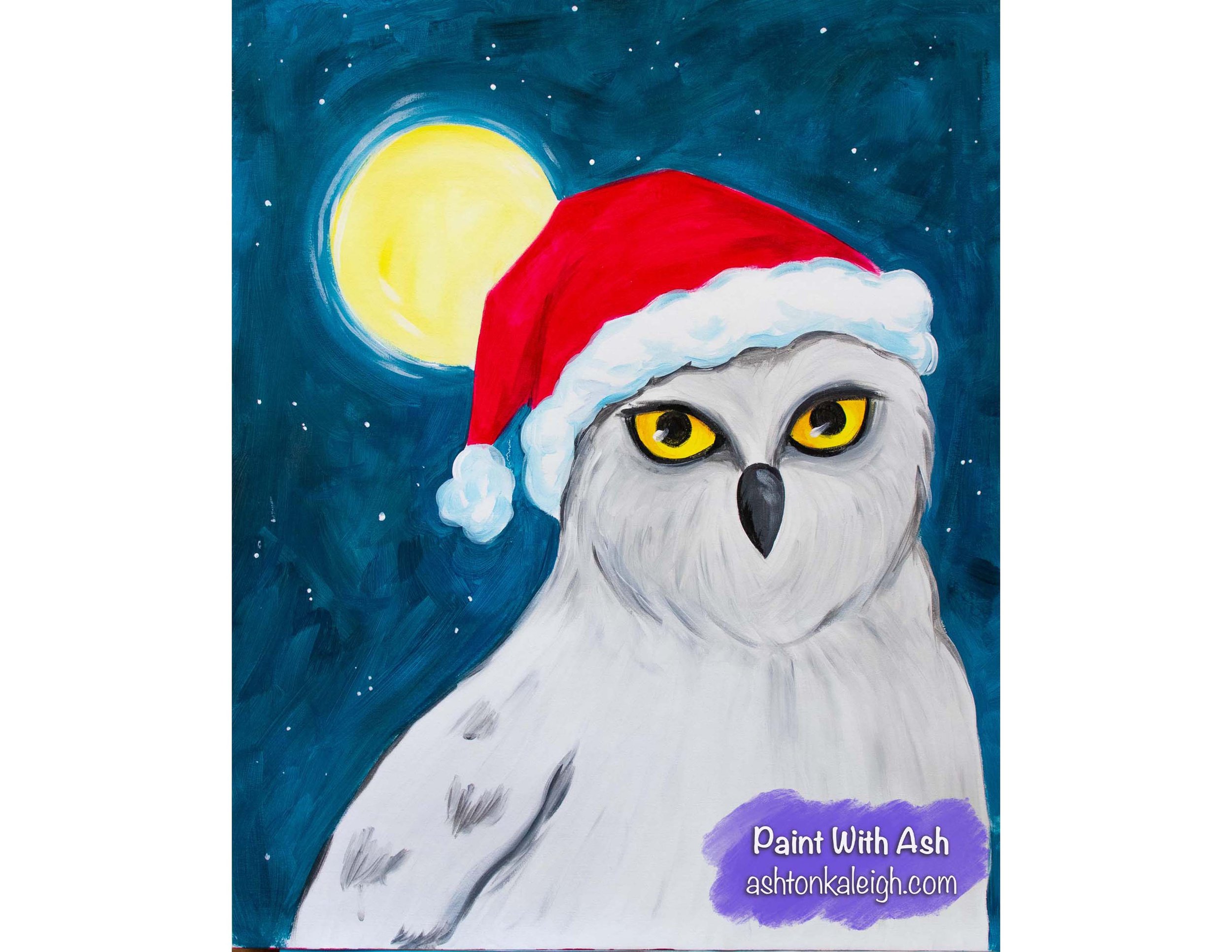 "Snowy Owl" Paint Along Class
