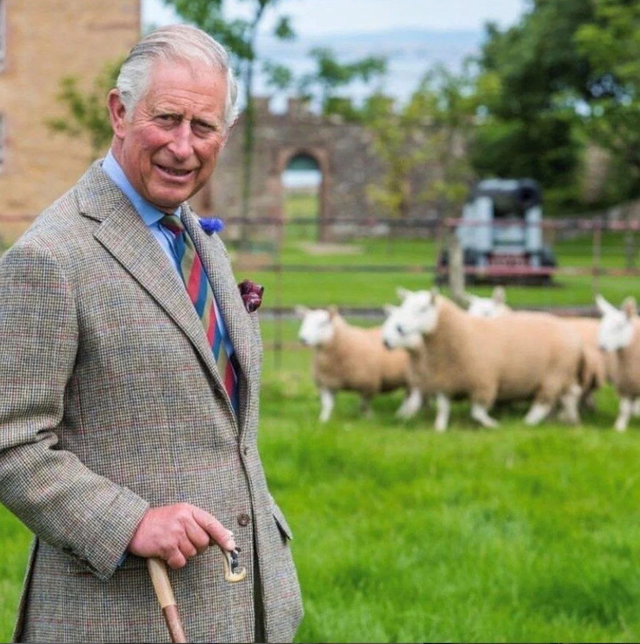 The Campaign for Wool in Canada is delighted that HM The King remains as The Patron, supporting the Campaign and its educational activities and events aimed at challenging the rise of toxic synthetic fibres in the worlds of fashion, interiors, and th