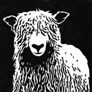 Gaspereau Valley Fibres