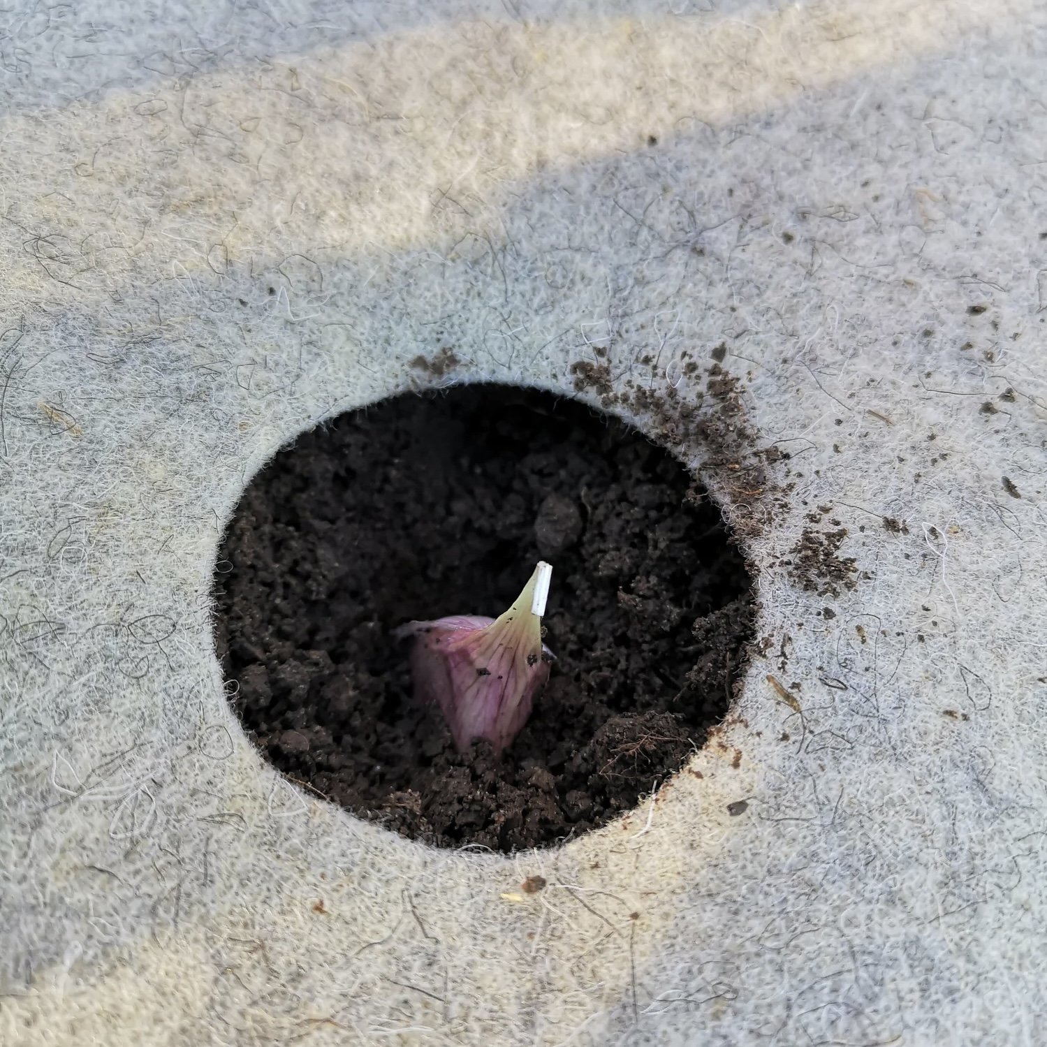 Gardening Felt by WoolGrown Company