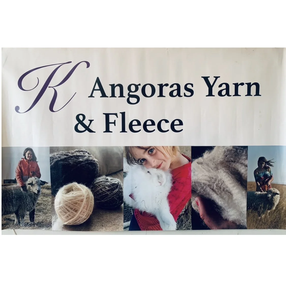 K Angoras Laine et toison