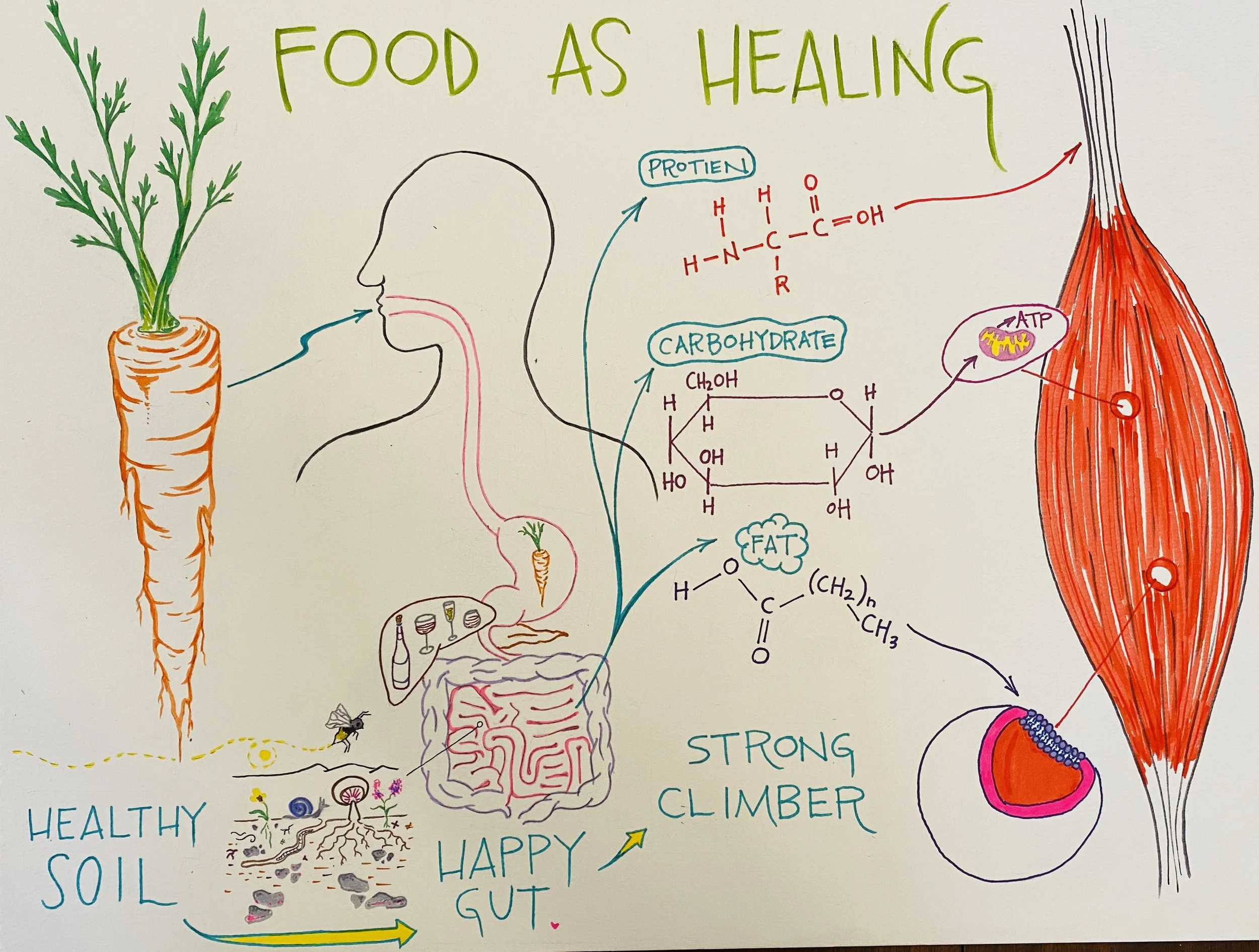 Food As Medicine | Saturday, Oct. 4th | 12:30-2pm