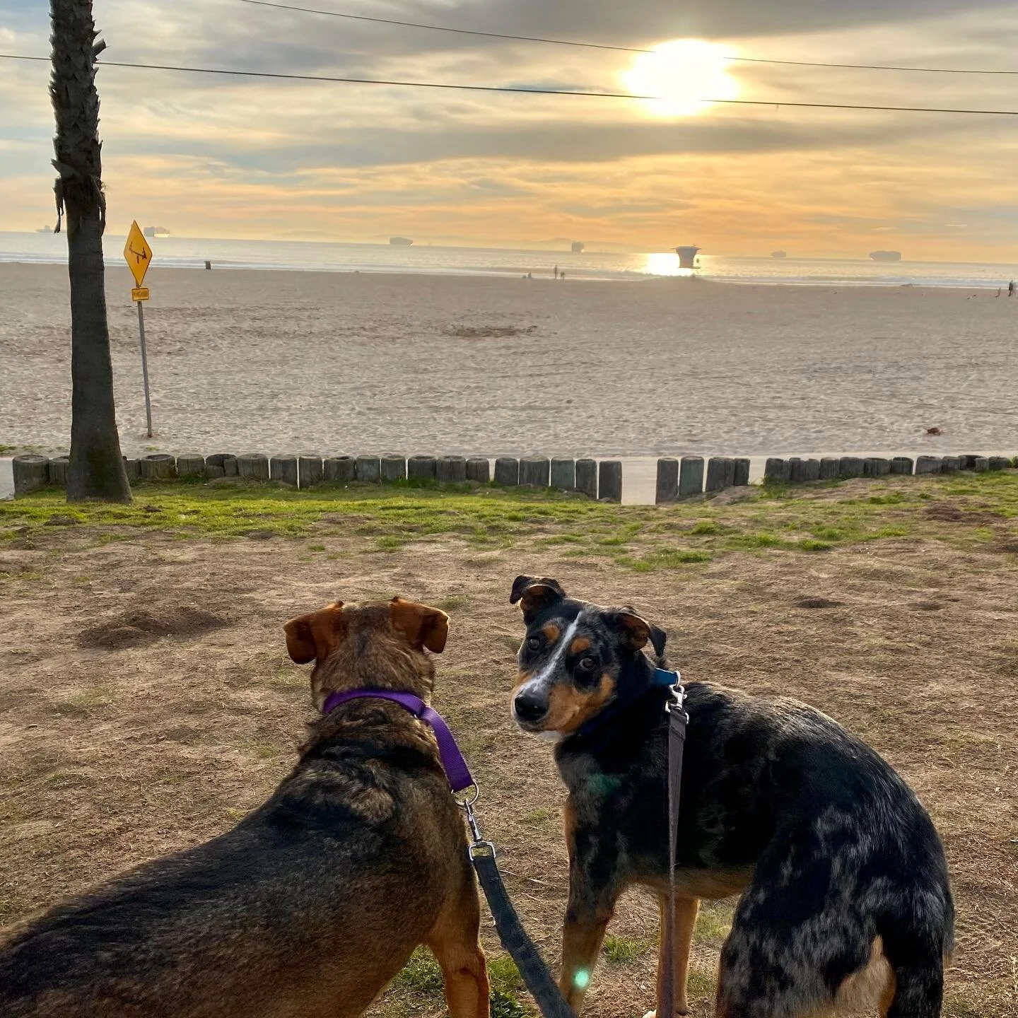 We&rsquo;re all about these Southern California winters 🏖