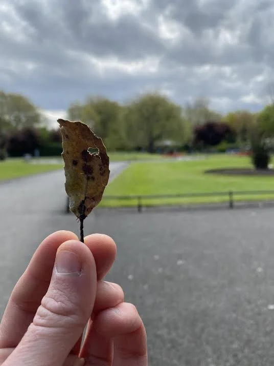 Pin Point Image - Luke.jpg