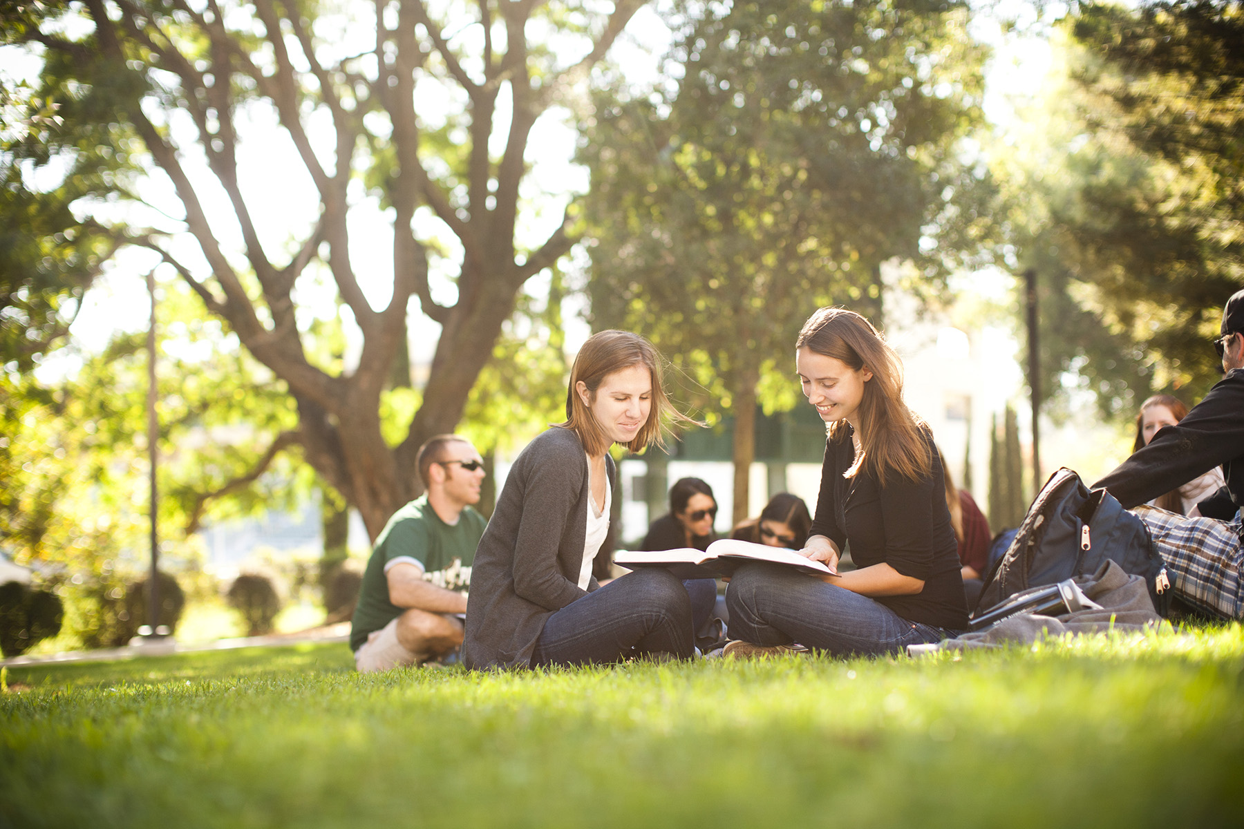 Cal Poly students studying at the park