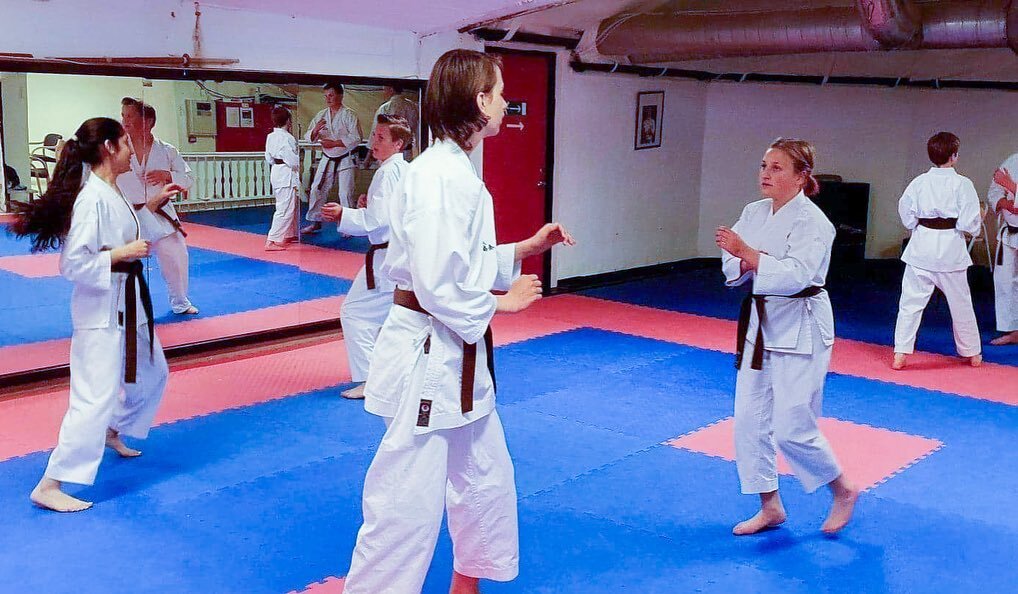 Mulig vi har noen
ungdommer som er litt
gangsperr i dag etter
kanonbra innsats p&aring;
treningen i g&aring;r som
muligens var over snittet hard 💪🏻Da passer det godt med litt kos p&aring; siste del av treningen 😄🥋

#jka #karate #norway #bergen #f