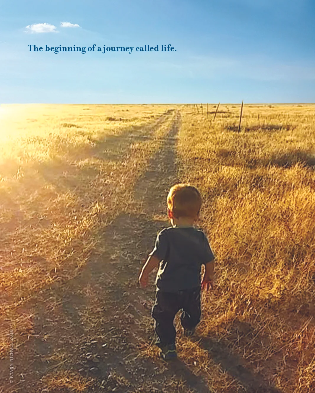 A Journey Called Life