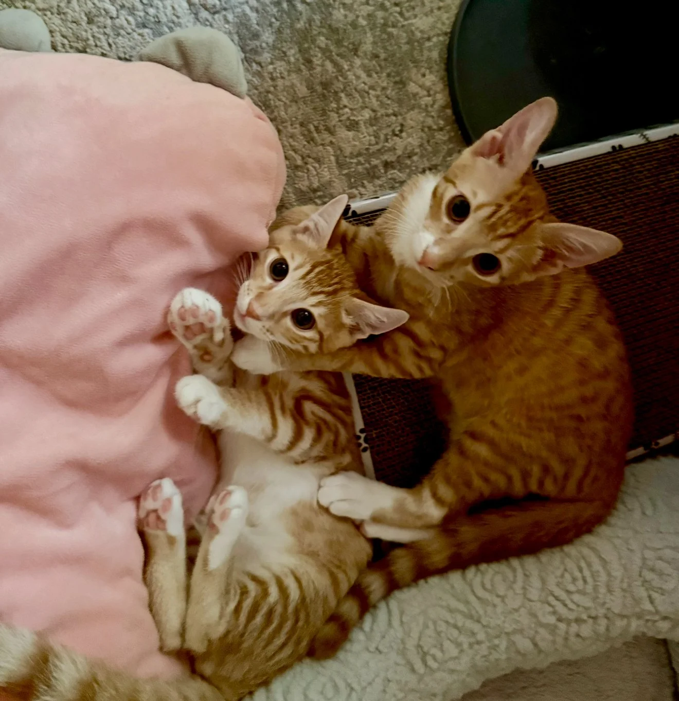 What We Learn From Those Who Are Still Unbroken