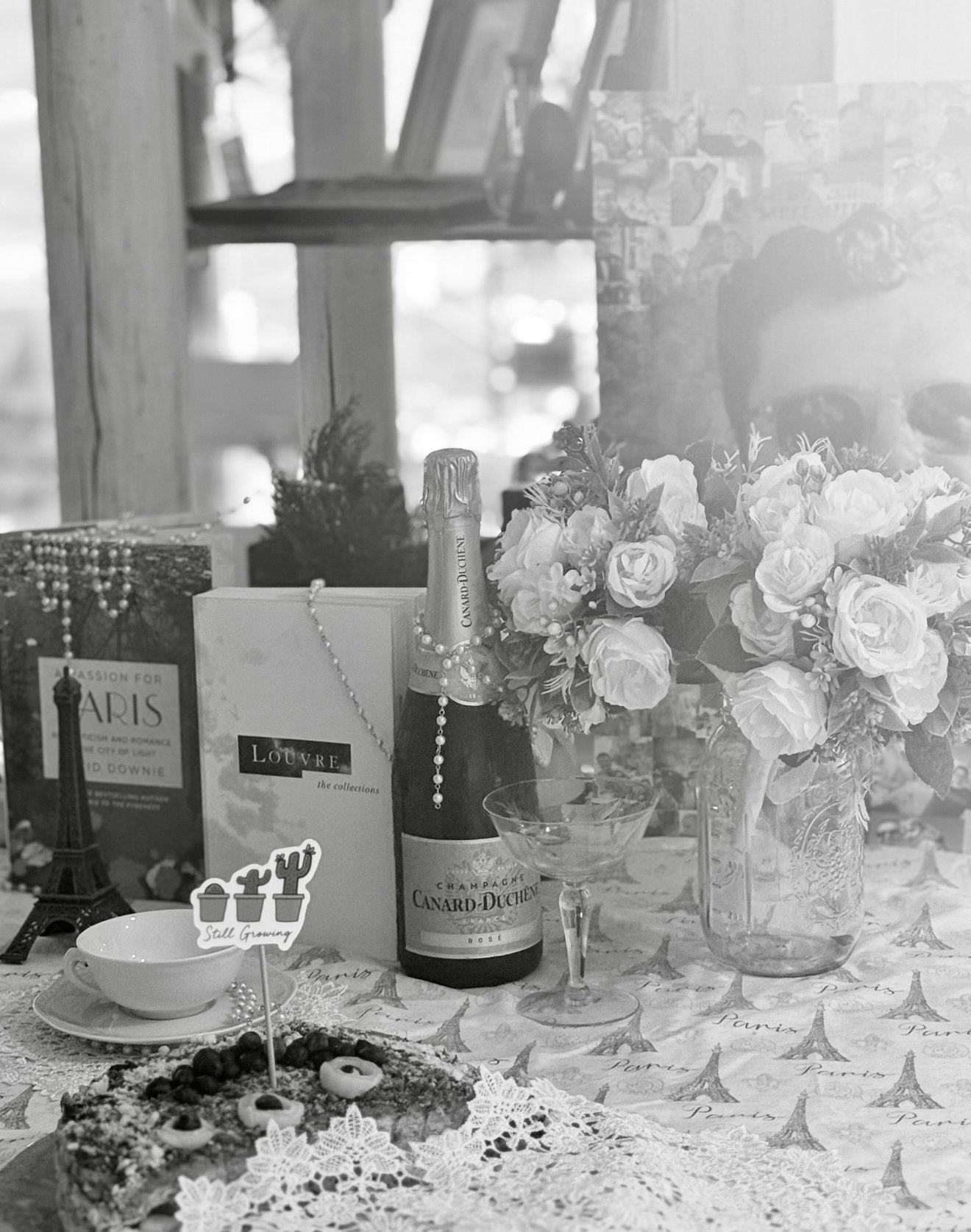 When Paris Comes Home: A Love Letter in Paper Tuxedos