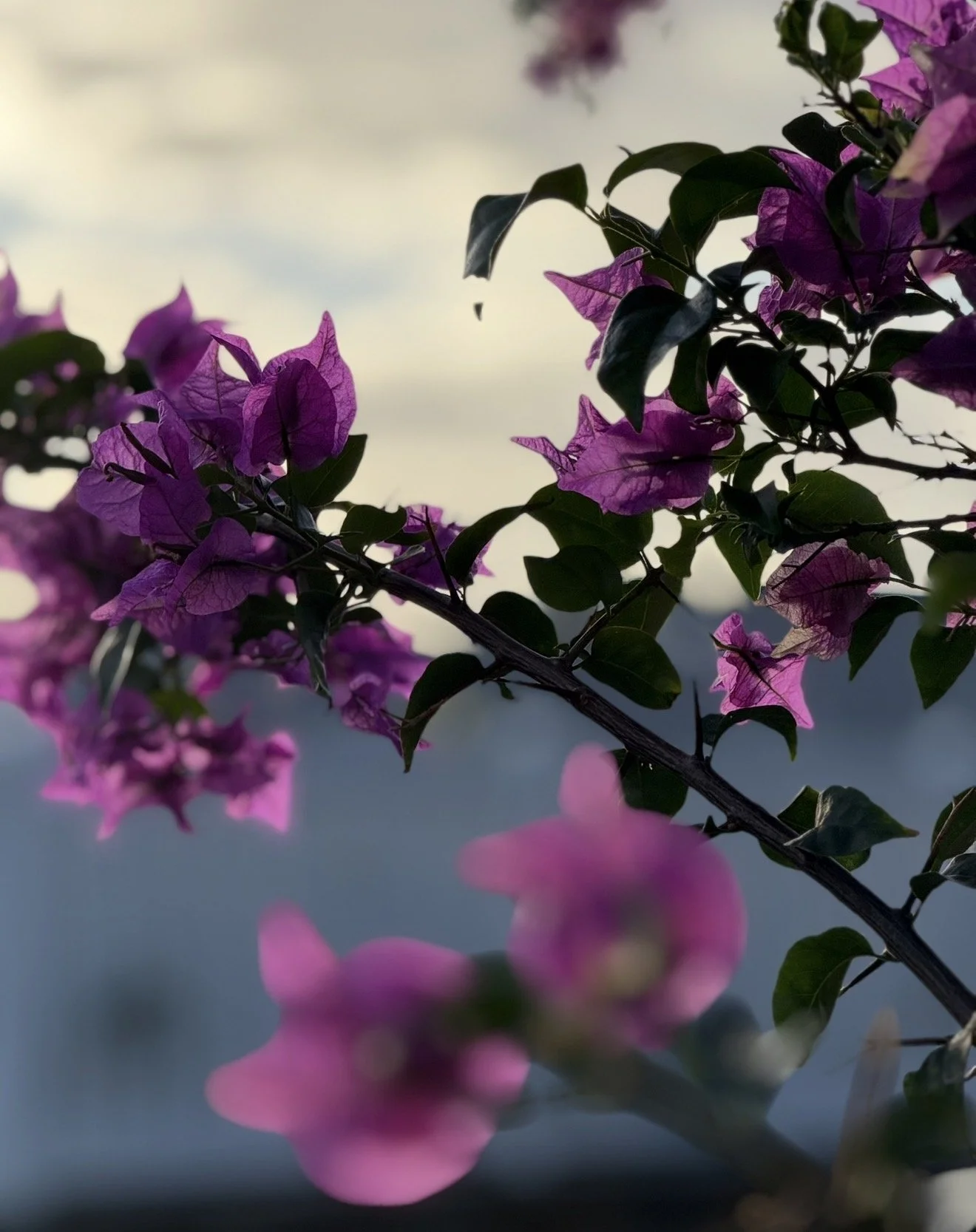 When We Come Together. And Share Stories We Carry.