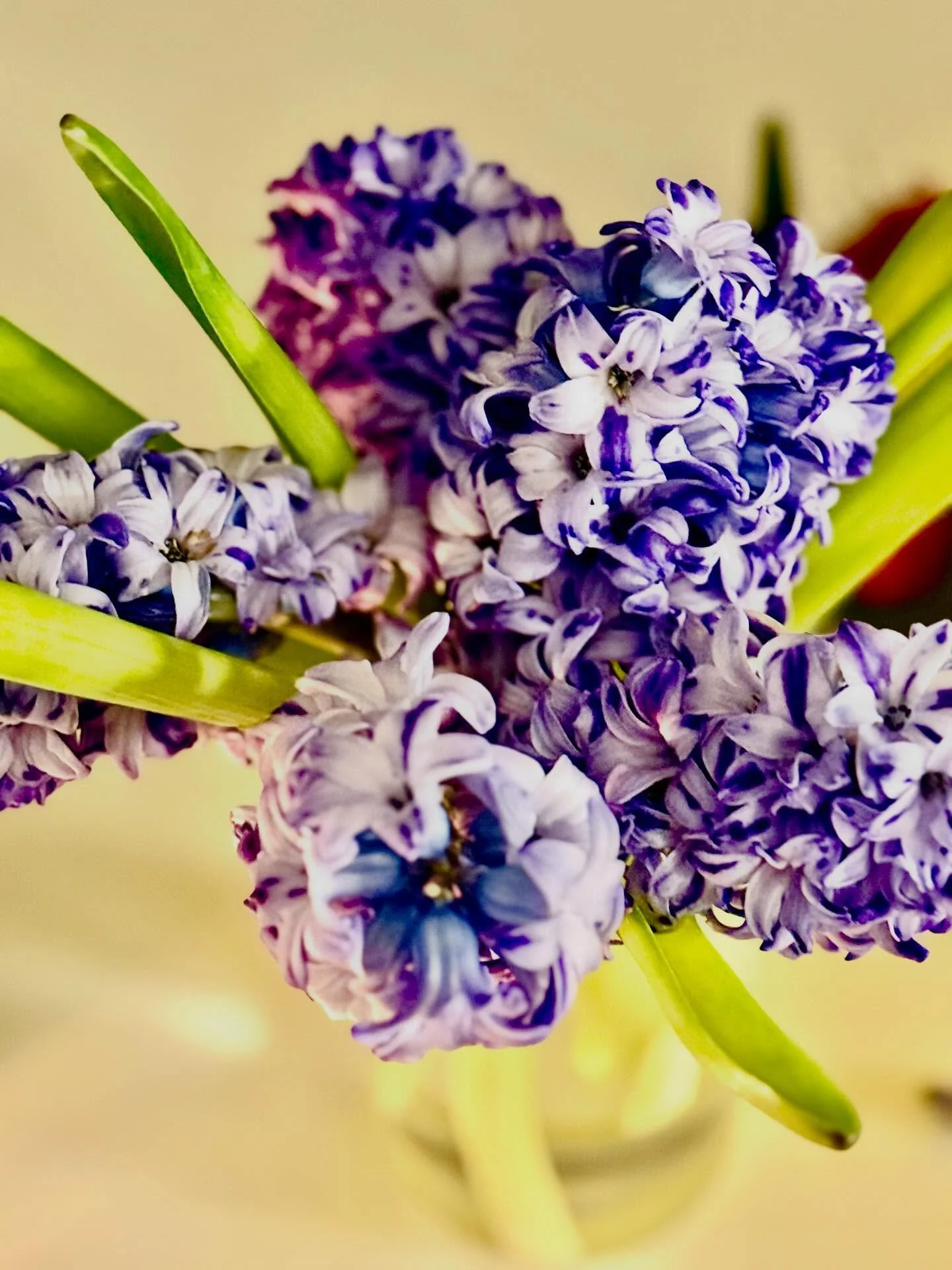 To all the beautiful women out there: hope it&rsquo;s not just a day, but a week, a month, a year, a decade, followed by a lifetime - when you step into your power, discover or re-discover the beauty, immense strength, resilience, divine nature, your