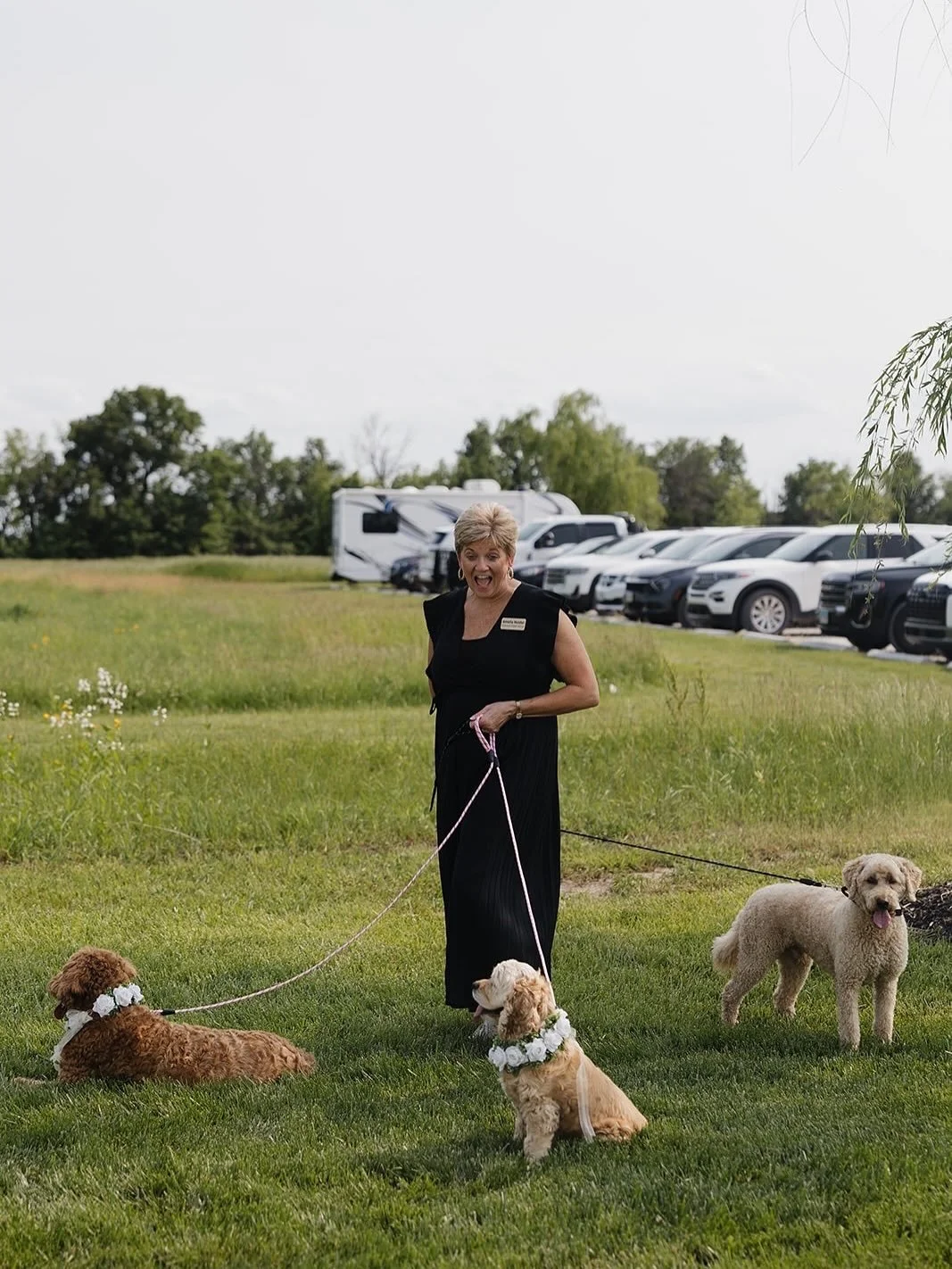 Someone asked about our dog policy recently, so I sent them this photo 😉
⠀⠀⠀⠀⠀⠀⠀⠀⠀
When couples ask if their pup can be part of the ceremony, the answer is always yes 🐾💕 Sometimes that even means I get promoted to temporary dog wrangler! During th