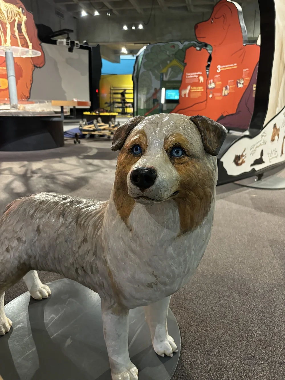 WOOF-LEE International BARK Handler — Berea Moving | Cleveland