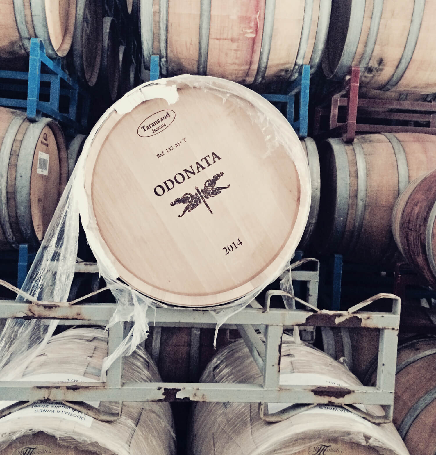 Photo: Oak barrels at Odonata Winery