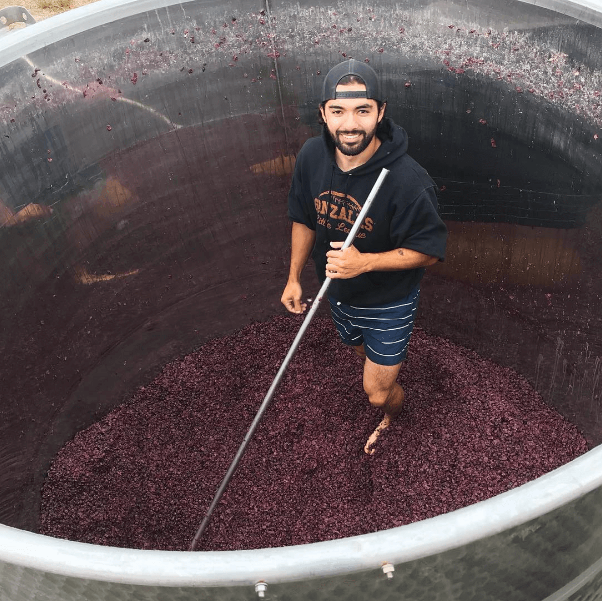 Photo: crushing grapes at Odonata Winery