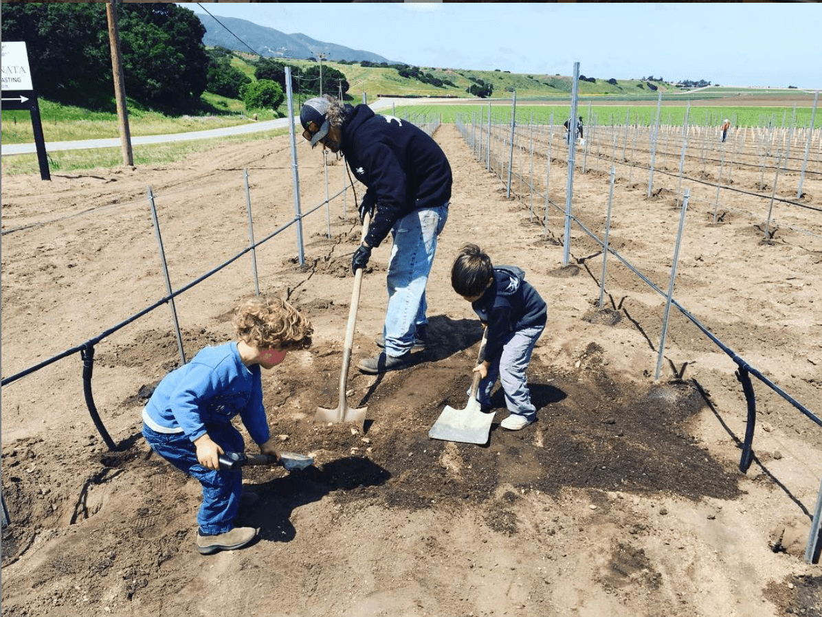 Winemaker Denis Hoey working at vineyard with his sons