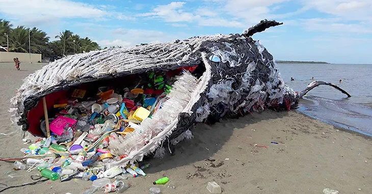 Plastic Pollution awareness through art