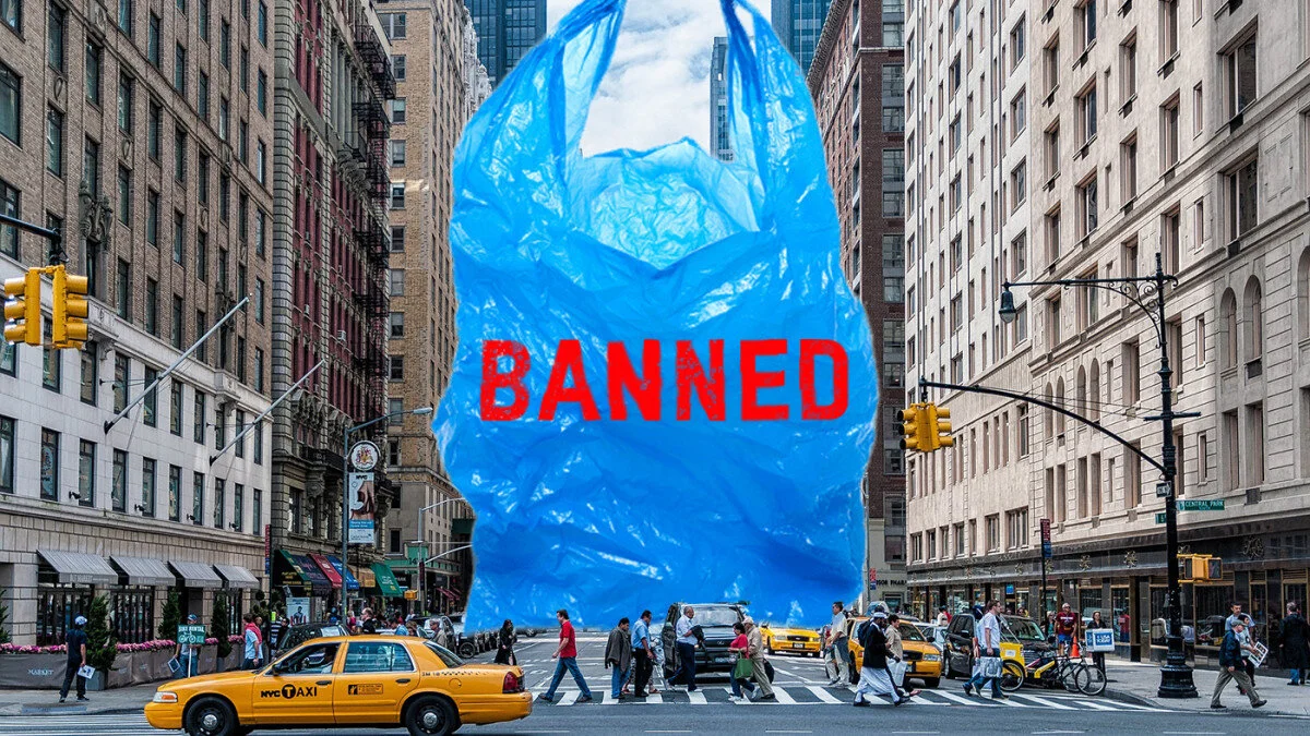NY State's ban on plastic bags starts March 1, 2020