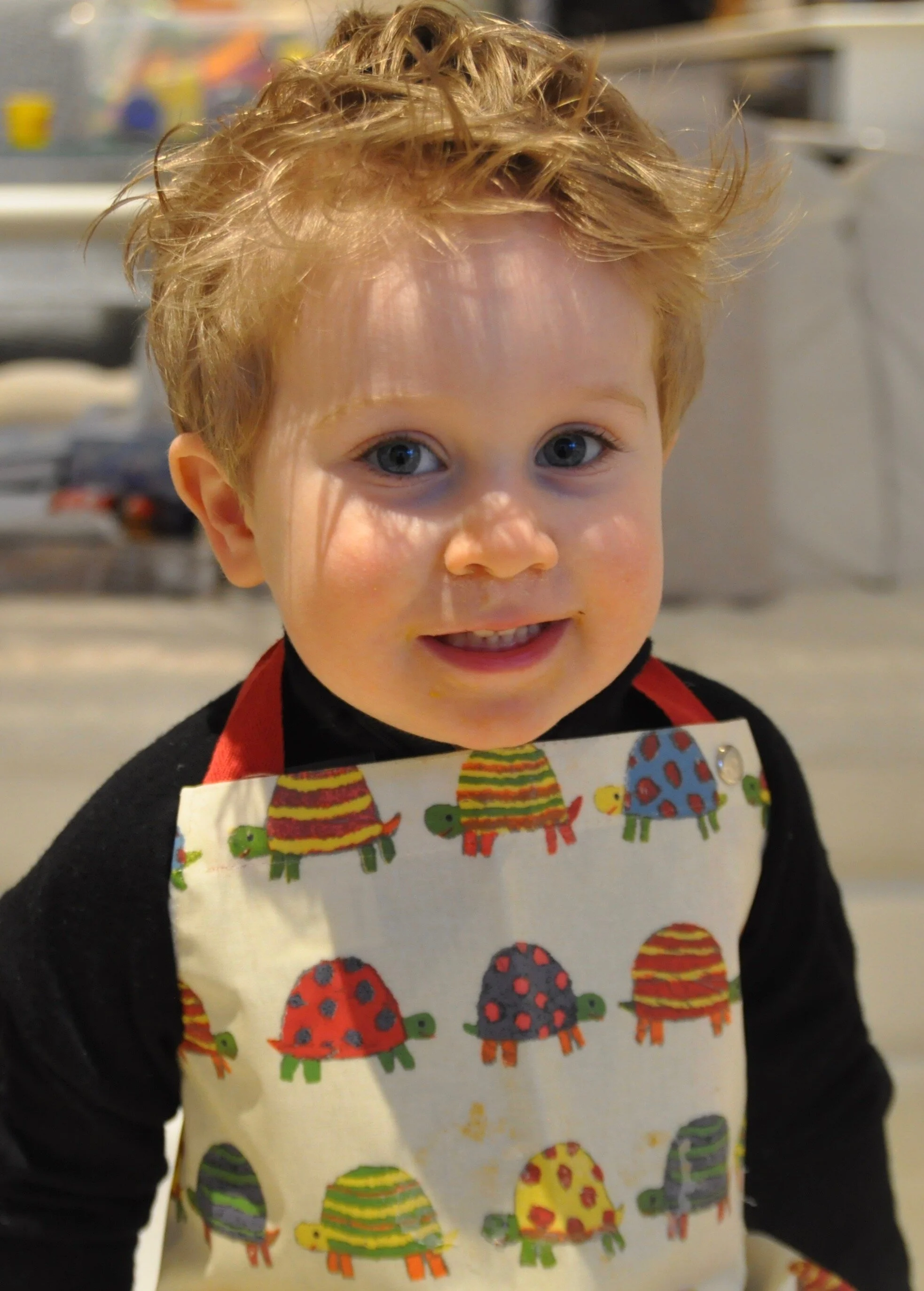 Vegan Chickpea Brownies