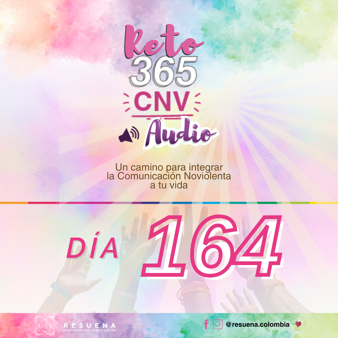  Día 164  Después de la conexión damos un paso hacia la acción