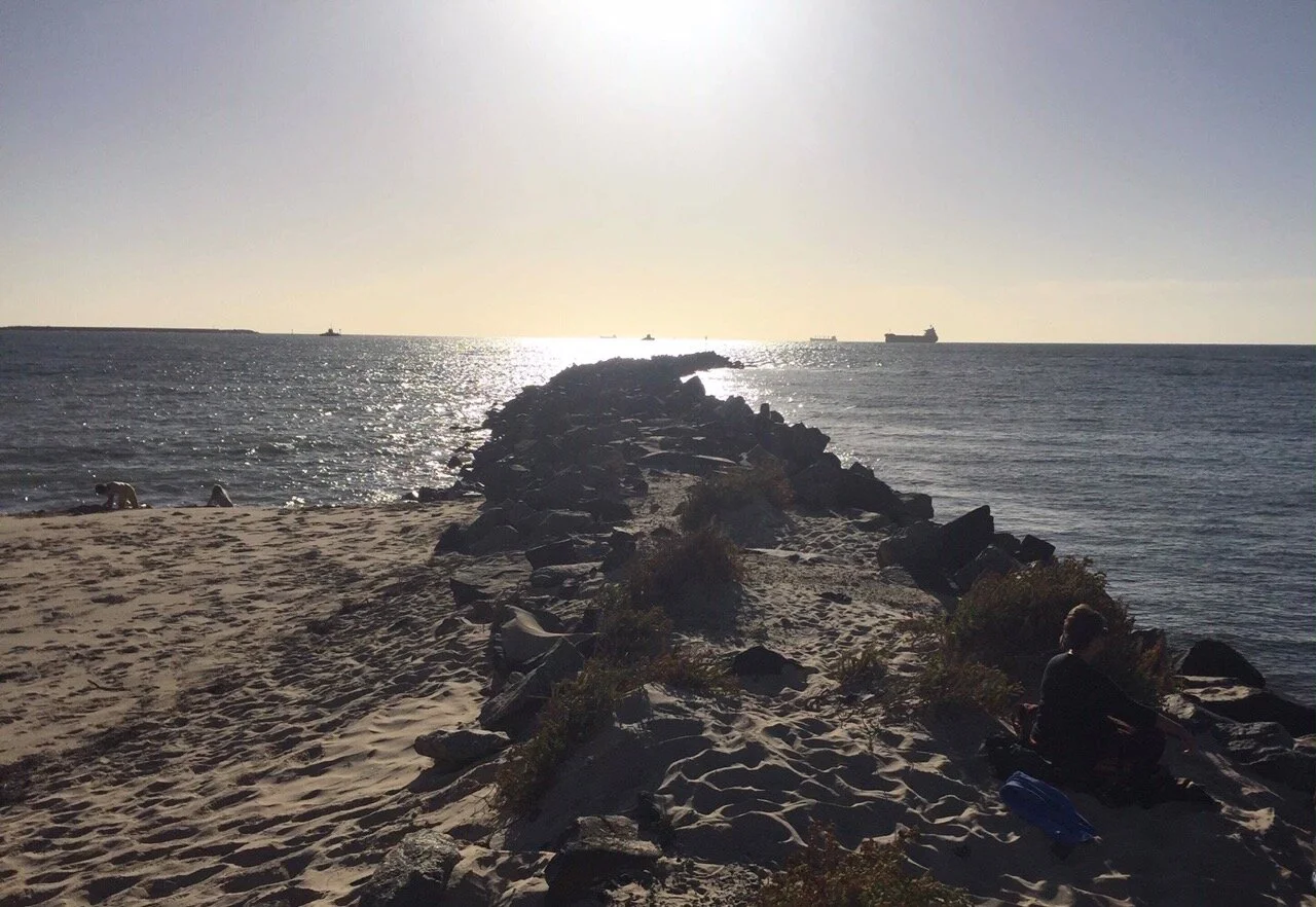 DOLPHIN WATCHING AT THE DAWESVILLE CHANNEL ALSO KNOWN AS THE CUT