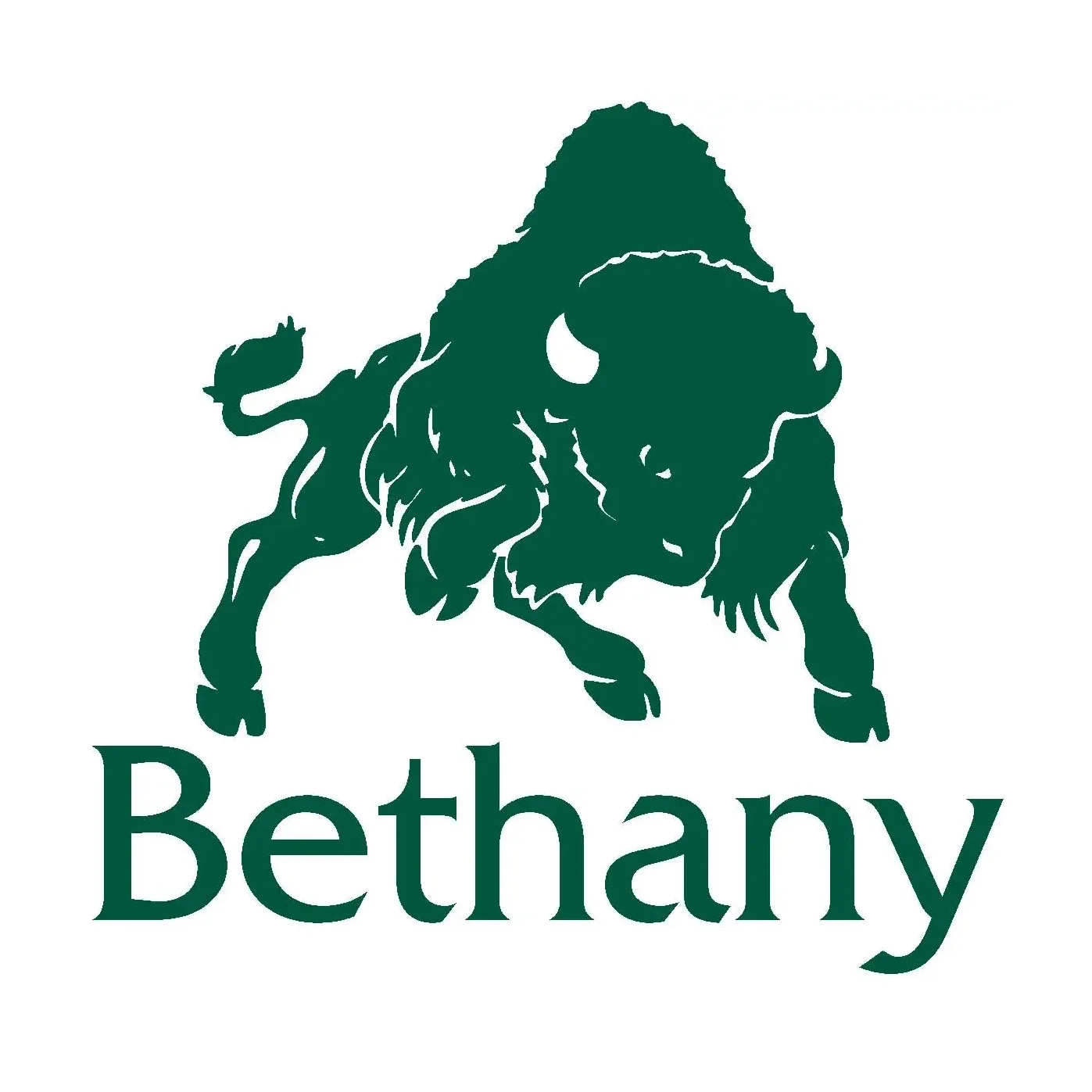 BoomerBethany.jpg.webp