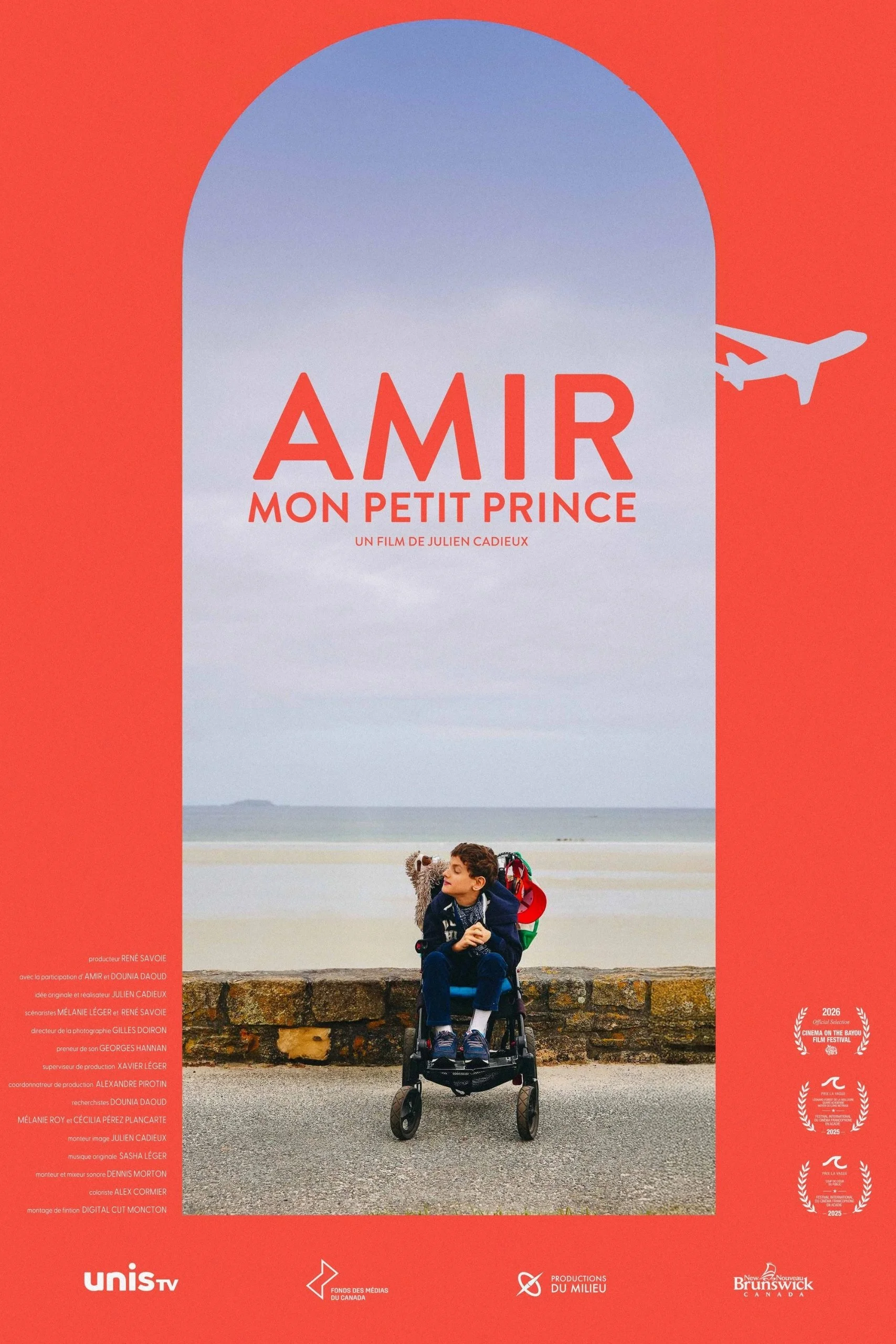 Amir mon petit prince_Affiche.jpg