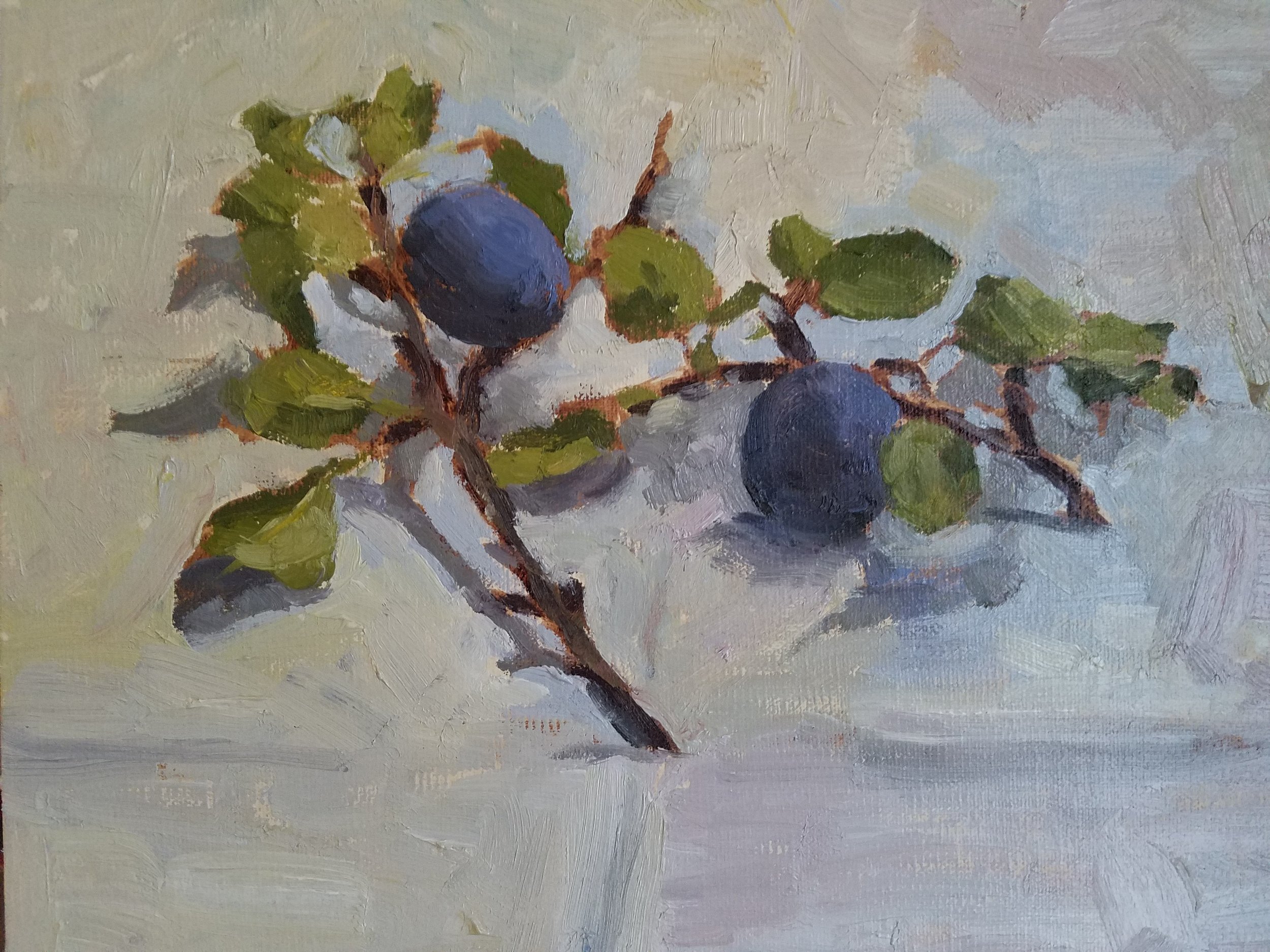 Wild Plums, Oil primed linen, 10”x8"
