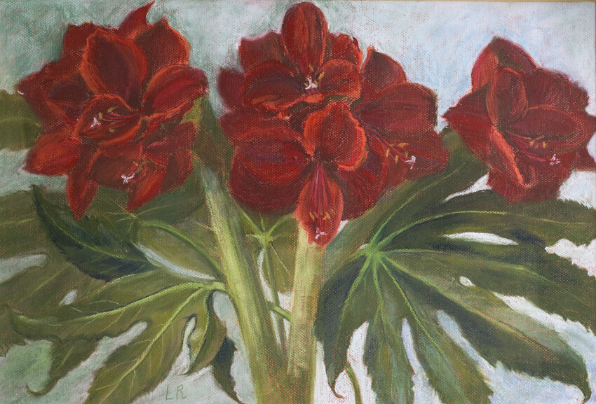 Amaryllis and Japonica, Pastel on canson mat board