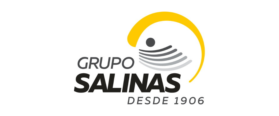 Logotipo del Grupo Salinas con texto 'Desde 1906' y un diseño gráfico con forma de arco y línea de puntos.